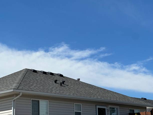 Best Cold Roofs  in Vine Hill, CA