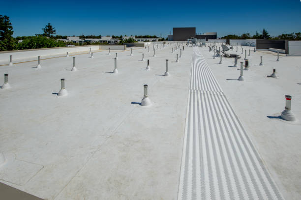 Best Gutter Installation and Repair  in Vine Hill, CA